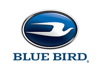 blue-bird